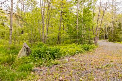 13 Cottage Lane — photo 4