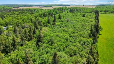 Lot Highway 362 Highway — photo 5