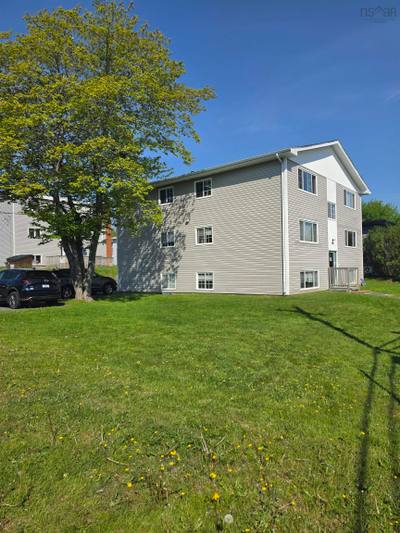 181 Evans Avenue — photo 3