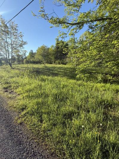 21 Acres Jimtown Road, Antigonish Harbour, N.S. — photo 2