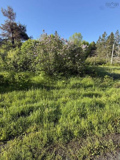 21 Acres Jimtown Road, Antigonish Harbour, N.S. — photo 3