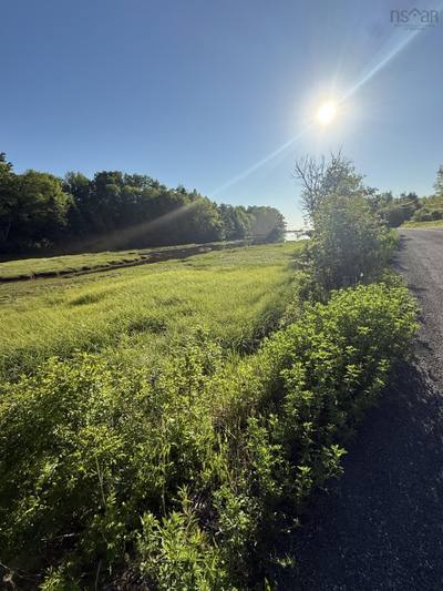 21 Acres Jimtown Road, Antigonish Harbour, N.S. — photo 4