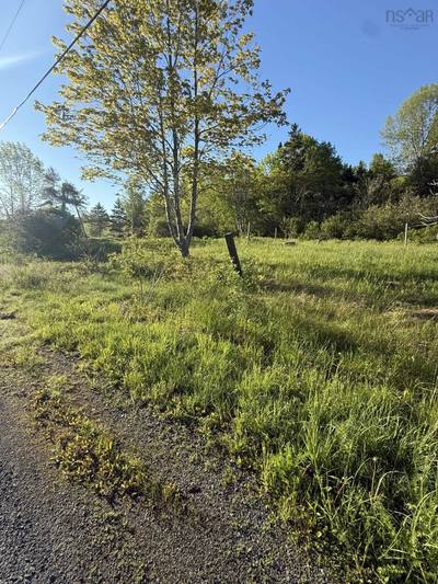 21 Acres Jimtown Road, Antigonish Harbour, N.S. — photo 5