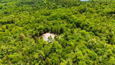 Snowy Owl Trail #Lot 71 — photo 5