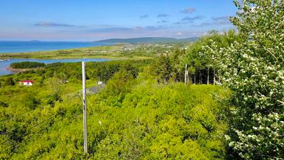 3C Broad Cove Banks Road — photo 2