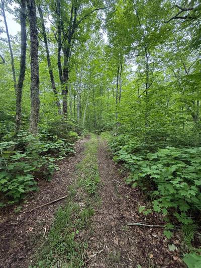 (Pid 20098885) Truro Road #Lot — photo 2