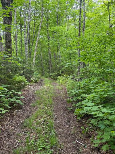 (Pid 20098885) Truro Road #Lot — photo 3