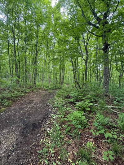 (Pid 20098885) Truro Road #Lot — photo 4