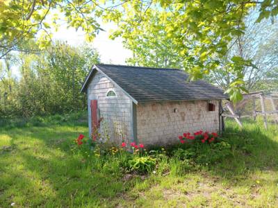 219 Trout Cove Road — photo 4