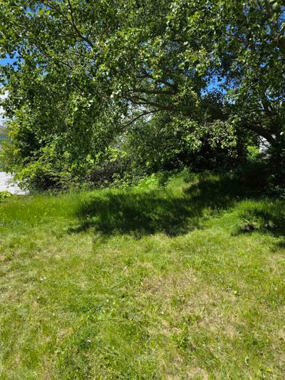 73 Taylor Street — photo 5