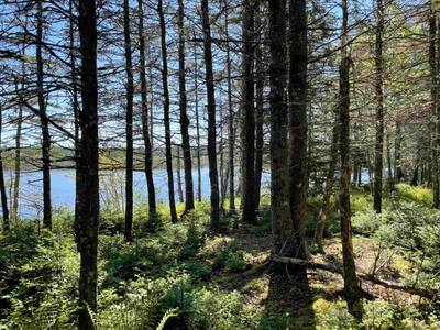 Lakefront Drive #Lot 17B — photo 8