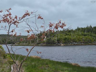 2618 Highway 7 — photo 3