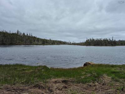 2618 Highway 7 — photo 4