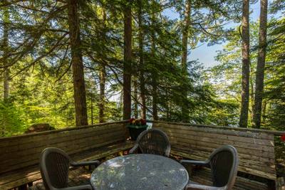 207 Middle Fork Road — photo 4
