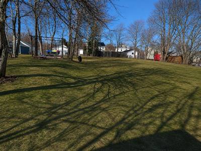 55 View Street — photo 4