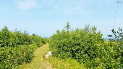 Red Rock Way Road #lot 12 — photo 4