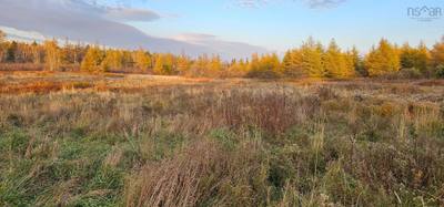 7888 Highway 354 — photo 3