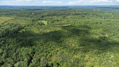 Milbury Road #Lot 7 — photo 2