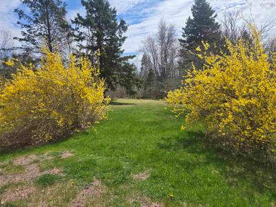 Malagash Road #Lot B — photo 4