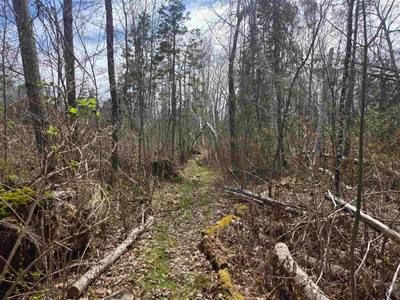 Malagash Road #Lot B — photo 5