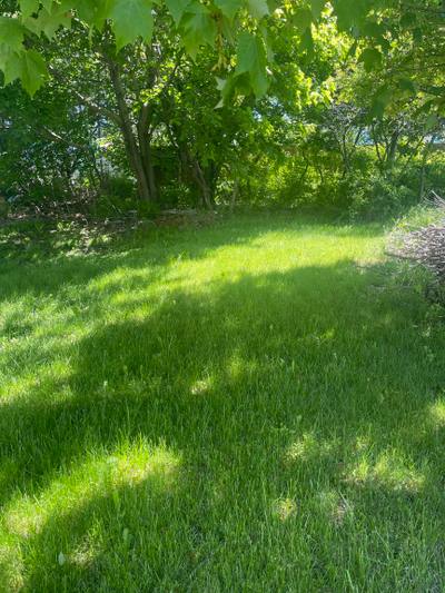 57 Fraser Avenue — photo 4