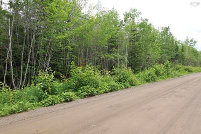 Crocker Rd Harmony Land — photo 2