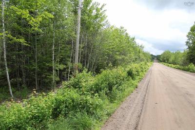 Crocker Rd Harmony Land — photo 3