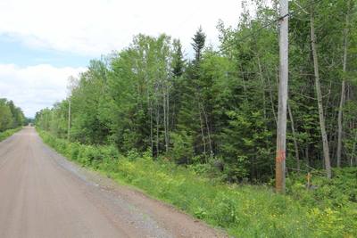 Crocker Rd Harmony Land — photo 4