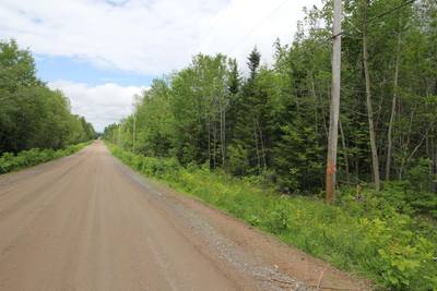 Crocker Rd Harmony Land — photo 5