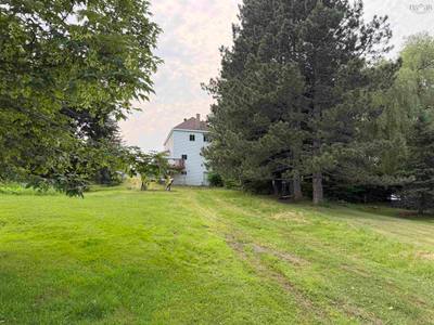 147 Mackay Street — photo 4