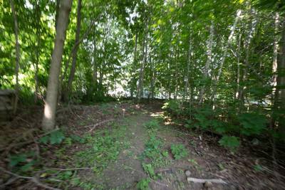 118 Belcher Street — photo 3