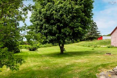 8239 Shore Road — photo 4