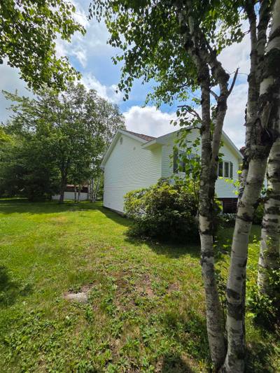 33 Carmichael Drive — photo 3