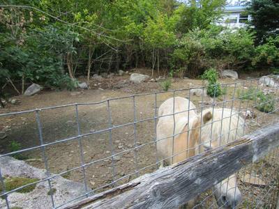 7 Circle Drive — photo 4