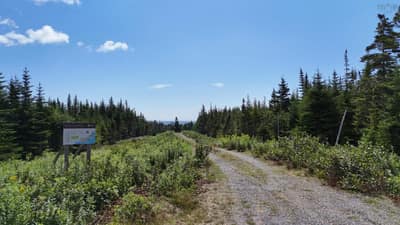 East Side Grand River Road #Lot 17 — photo 6