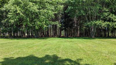 4289 West River East Side Road — photo 8