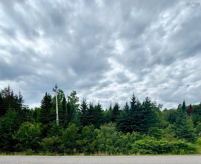 496 Highway 4 — photo 3