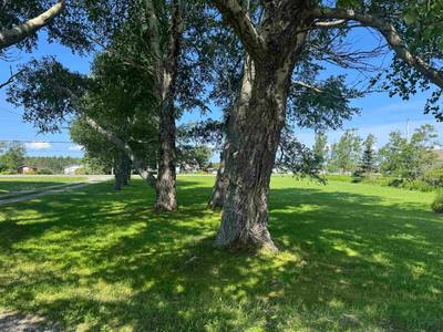 776 Alder Point Road — photo 5