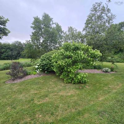 263 Old Pinevale Road — photo 3