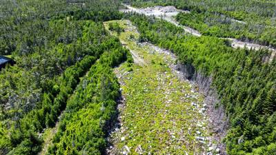 2885 Ostrea Lake Road #Lot 113 — photo 3