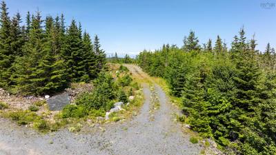 2885 Ostrea Lake Road #Lot 113 — photo 5