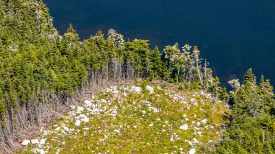 2885 Ostrea Lake Road #Lot 113 — photo 6