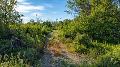 Main A Dieu Road #Lot 2017-2 — photo 5
