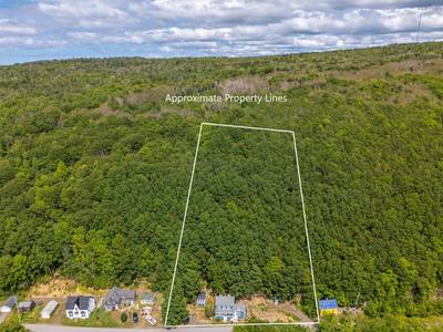 857 Granville Road — photo 4