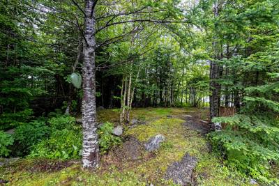 1850 Old Sambro Road — photo 5