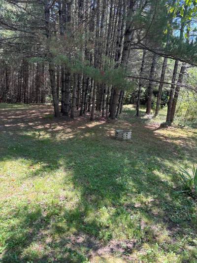 2031 East Clifford Road — photo 3