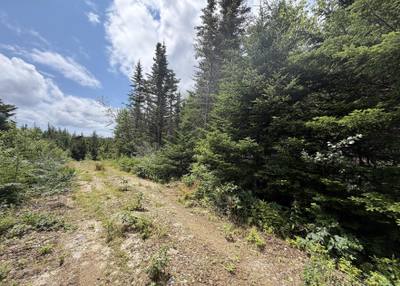 West Liscomb Point Road #Lot 09-2 — photo 3