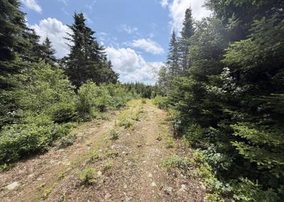 West Liscomb Point Road #Lot 09-2 — photo 4