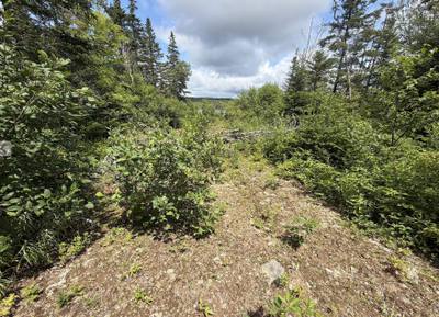 West Liscomb Point Road #Lot 09-2 — photo 5