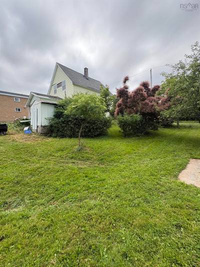 37 Rose Avenue — photo 4